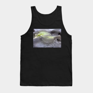 Nouvelle Zélande - Rotorua, Te Puia Tank Top